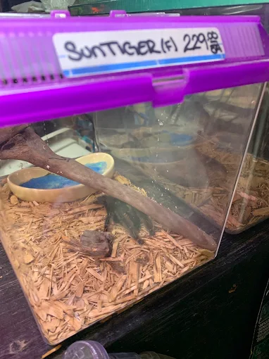 Aqua-Rama Pet Center
