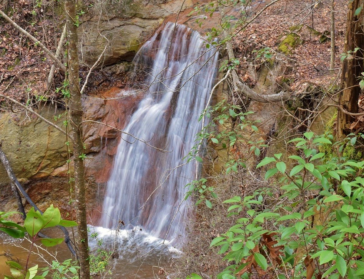 Clark Park Falls